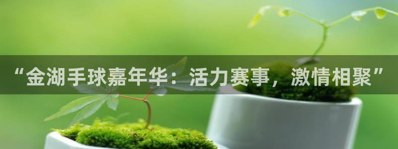 “金湖手球嘉年华：活力赛事，激情相聚”