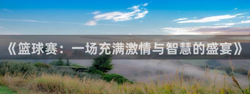 《篮球赛：一场充满激情与智慧的盛宴》