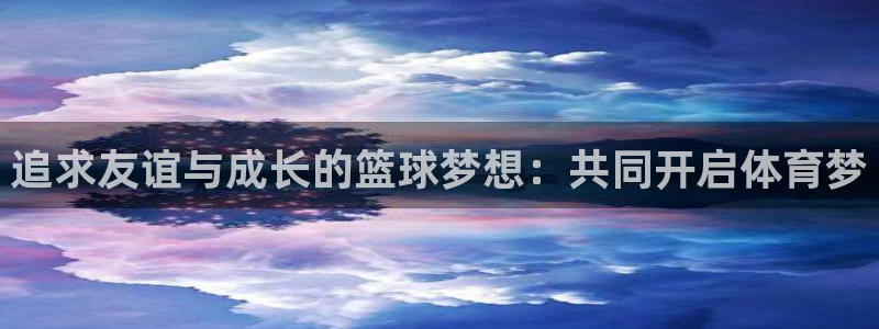  追求友谊与成长的篮球梦想：共同开启体育梦