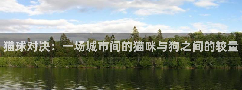 678体育app安卓版下载：猫球对决：一场城市间的猫咪与狗之
