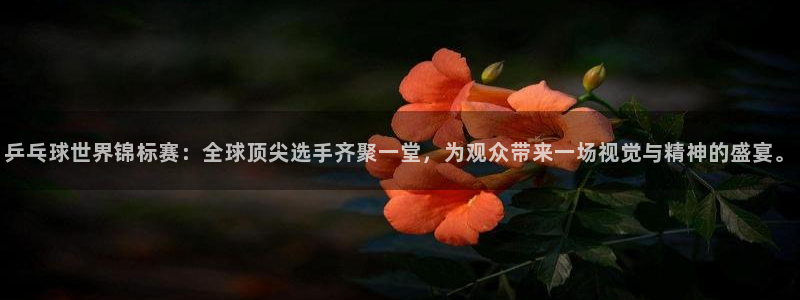  678体育官网入口：乒乓球世界锦标赛：全球顶尖选手齐聚一堂，