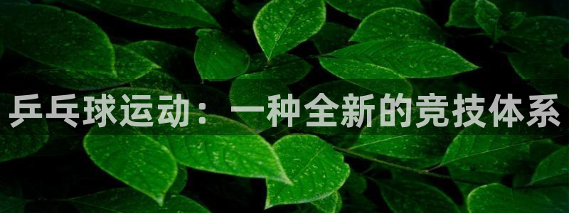  678体育怎么样：乒乓球运动：一种全新的竞技体系