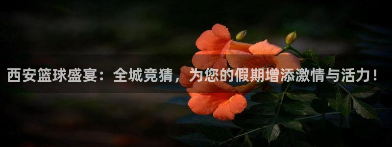  678体育软件怎么样：西安篮球盛宴：全城竞猜，为您的假期增添