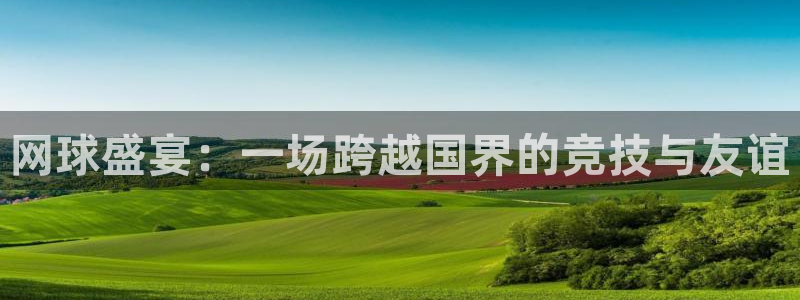 678体育直播官网：网球盛宴：一场跨越国界的竞技与友谊
