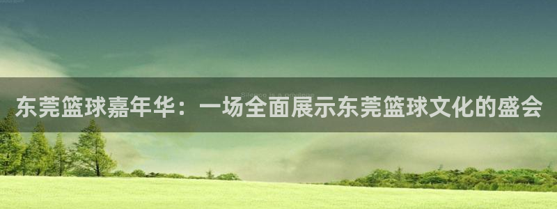 678体育停运后：东莞篮球嘉年华：一场全面展示东莞篮球文化的