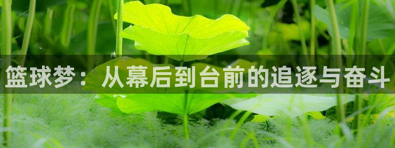  678体育app安卓版下载：篮球梦：从幕后到台前的追逐与奋斗