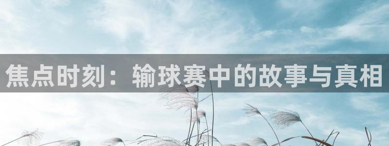 678体育世界杯赛事app：焦点时刻：输球赛中的故事与真相