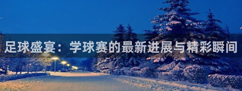 678体育直播官网：足球盛宴：学球赛的最新进展与精彩瞬间