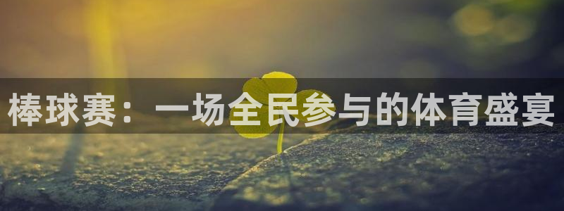 678体育app安卓版下载：棒球赛：一场全民参与的体育盛宴
